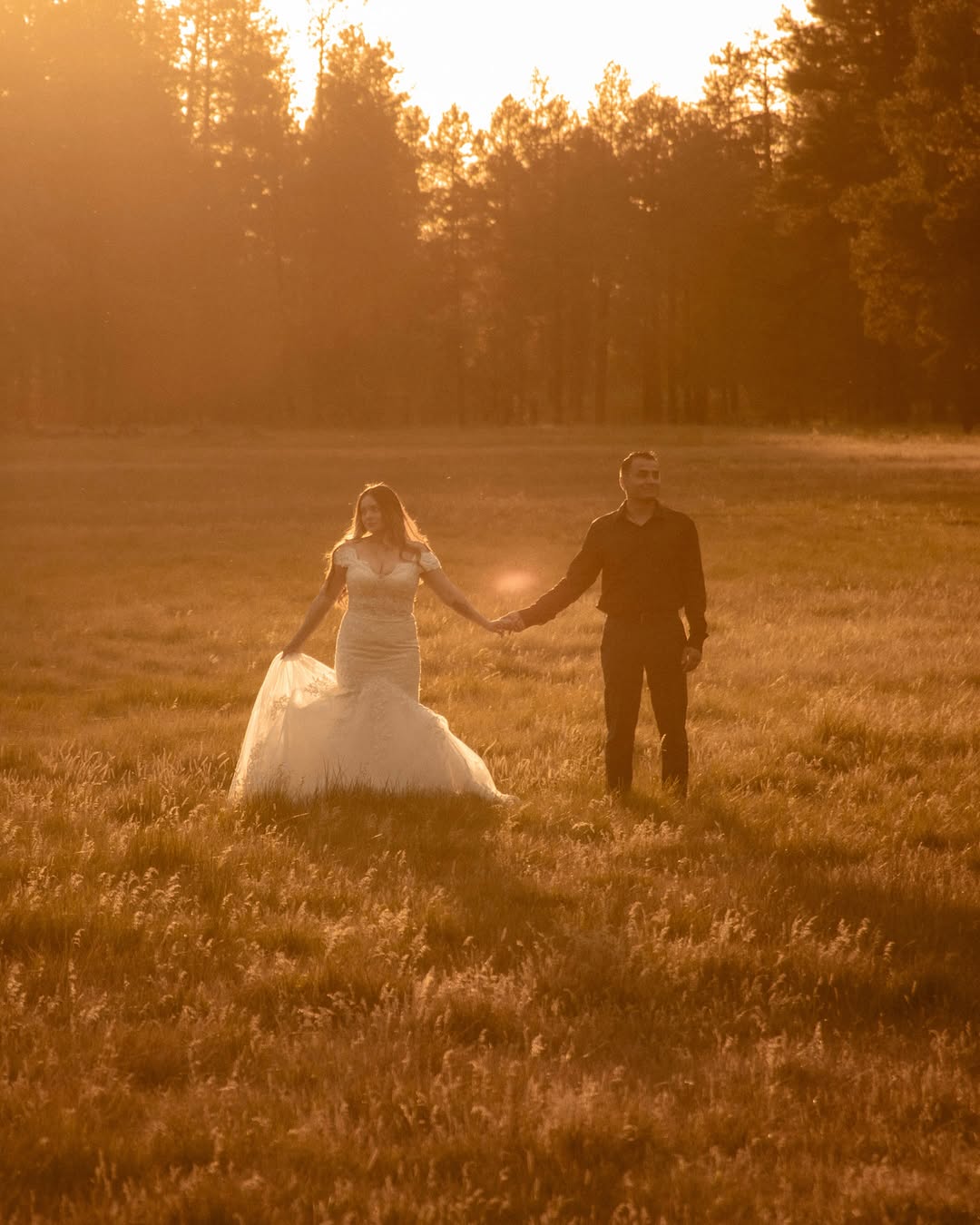 A bride and groom holding hands in a golden meadow at sunset, ponderosa pines behind them — White Mountains, Arizona