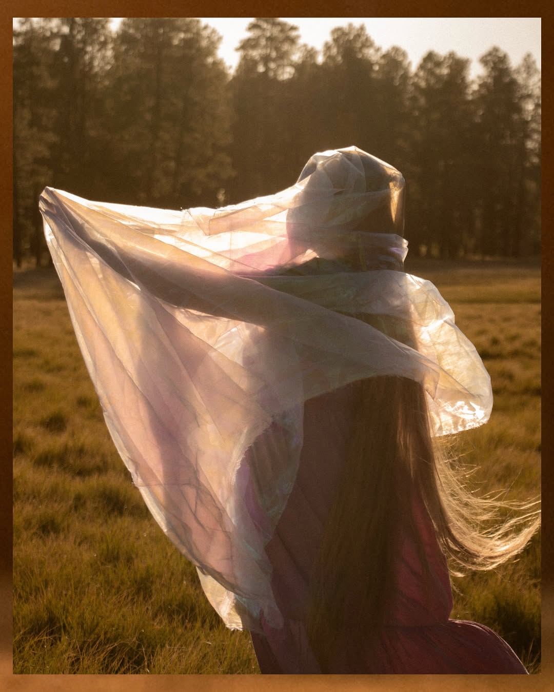 A woman in a plum dress at golden hour, sheer scarf lifting in the wind against a wall of pines